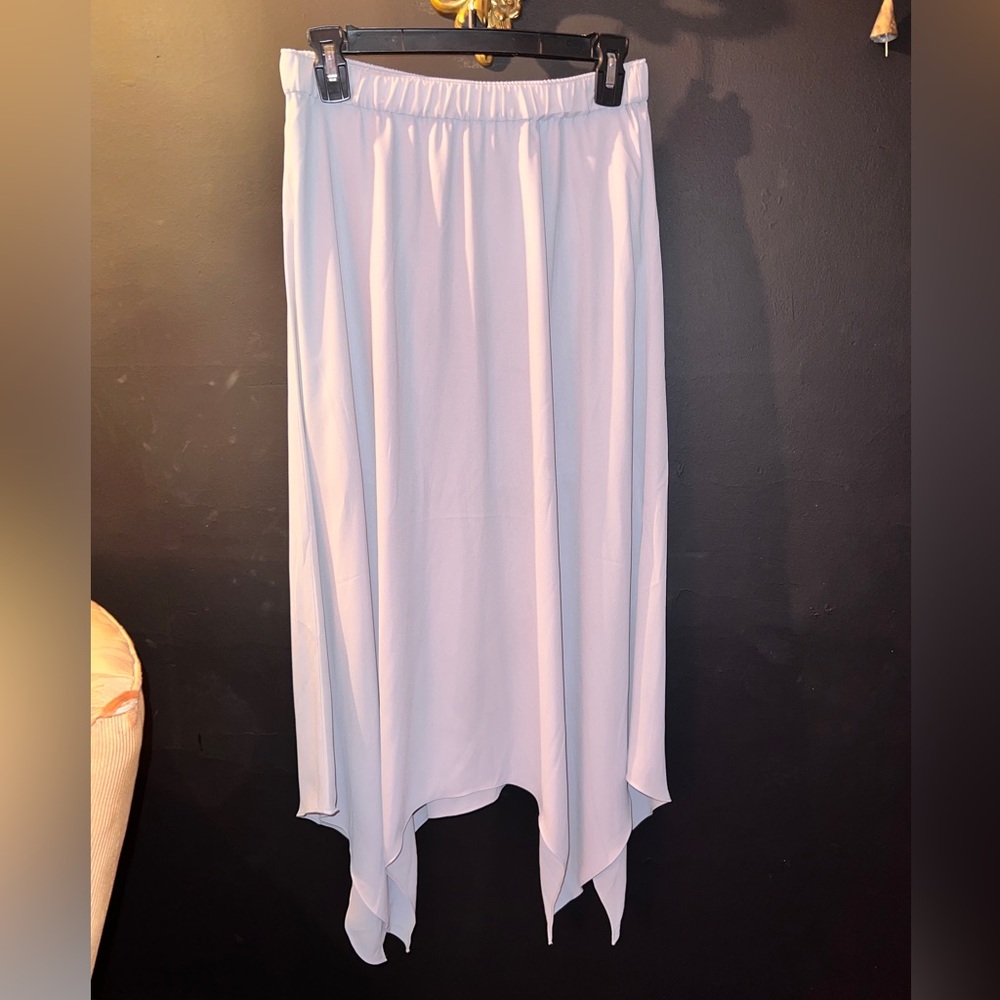 Light Blue Sheer with slip Express Skirt